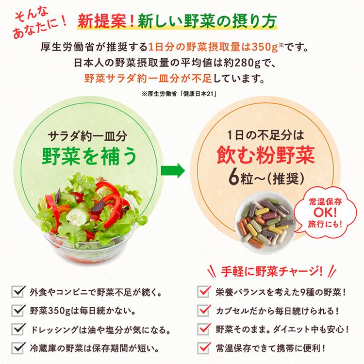 クーポン発行中 2袋セット ベジタブルテック 飲む粉野菜 6つの野菜 
