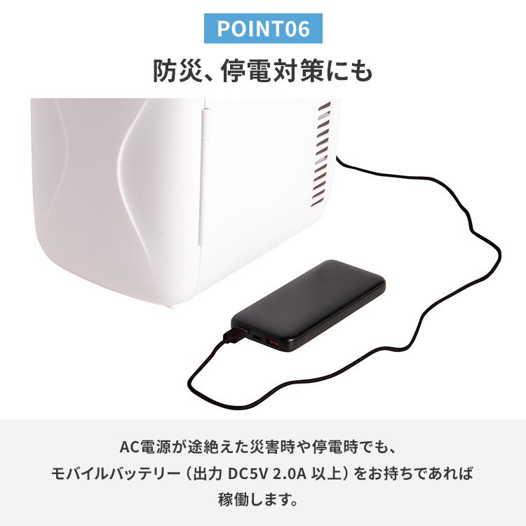 クーポン発行中 ライソン 保冷温庫4.0L 冷子と温子 KDFW-005W 冷蔵庫