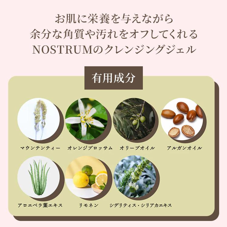 クーポン発行中 2本セット ノストラム フェイスクレンジング ジェル