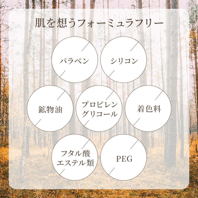 クーポン発行中 2本セット ノストラム フェイスクレンジング ジェル