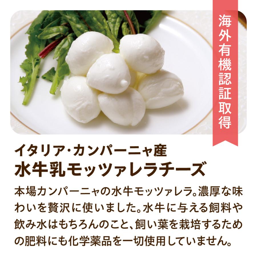 ローカル　食用がへる チートスクランチ チーズ味 フリトレー | 株式会社鈴商