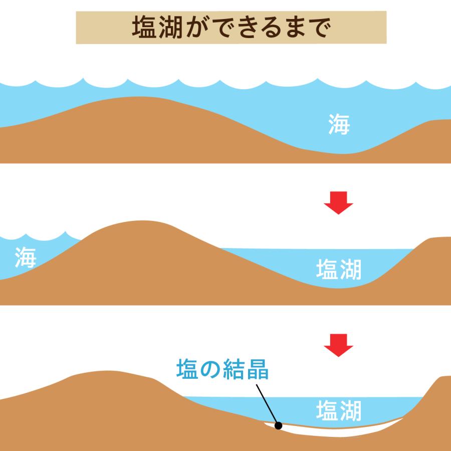 オーガニック ウユニの塩（ウユニ塩原・ウユニ塩湖の天然塩）アンデス