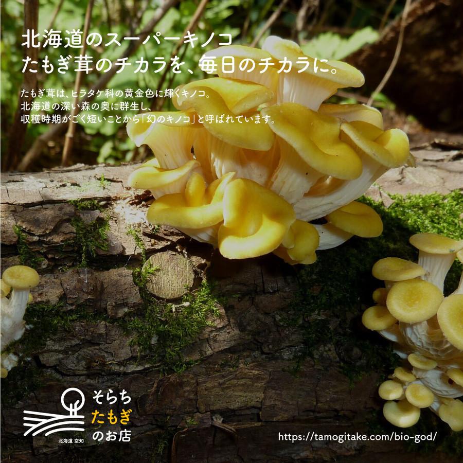たもぎ茸石突乾燥粉末 150g エルゴチオネイン含有 タモギダケ タモギタケ　生産者直送　北海道産 |  | 03