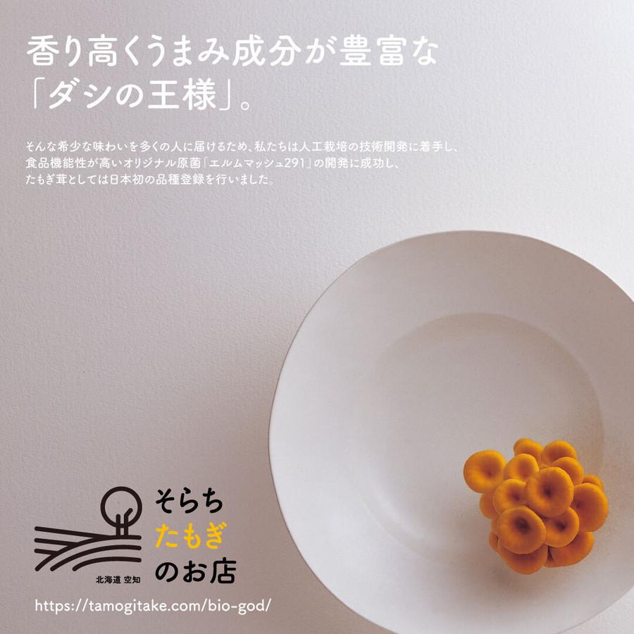たもぎ茸石突乾燥粉末 150g エルゴチオネイン含有 タモギダケ タモギタケ　生産者直送　北海道産 |  | 04