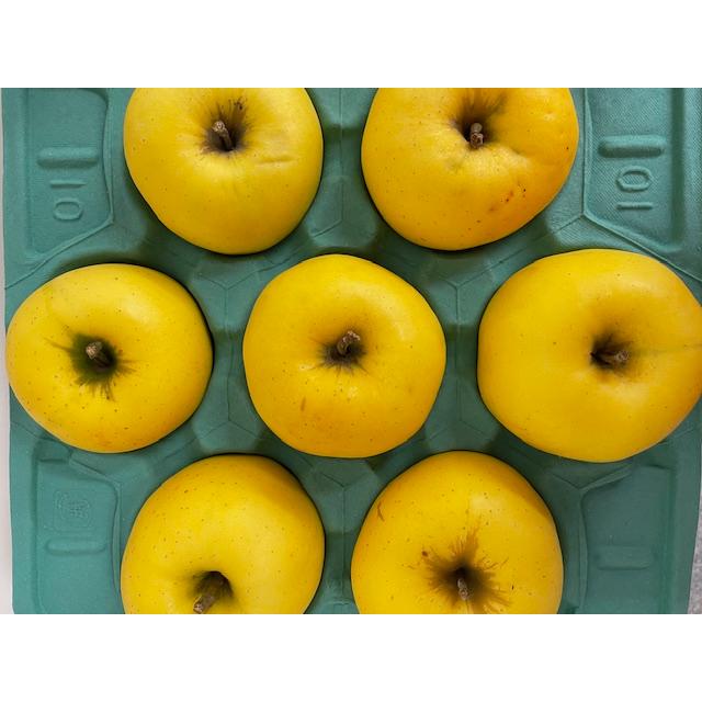 無農薬 りんご シナノゴールド 1箱 約4kg 8〜24個 送料無料！ : Bio