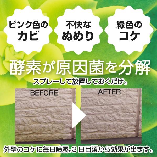 【バックアウト960ｍl】除菌 抗菌 消臭 シミ取り 洗剤 オーガニック 天然成分 赤ちゃん おむつ ペット用 ゴミ箱 生ゴミ 排水口 トイレ |  | 03