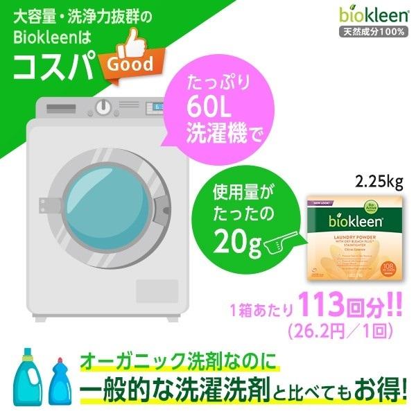 15周年記念イベントが ランドリーパウダー プレミアム2 25kg 洗濯洗剤 洗剤 粉末洗剤 大容量 オーガニック ドライ 部屋干し 生乾き 赤ちゃん おしゃれ着 子供服 ニオイ 敏感肌 安心 Heartlandgolfpark Com