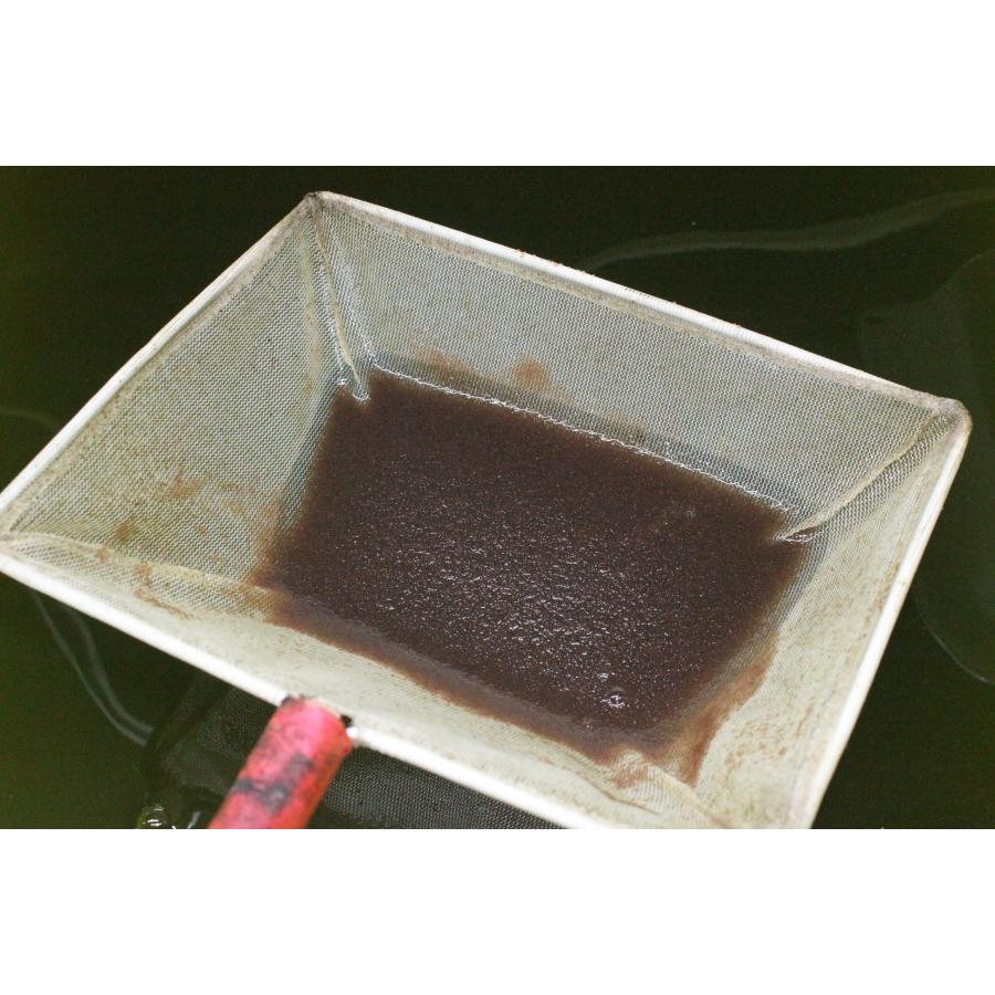 送料無料　タマミジンコ　5ｇ　活餌　メダカ　金魚　熱帯魚の餌に |  | 01