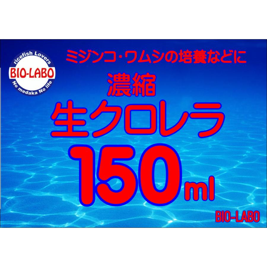 生クロレラ　150ｍｌミジンコ培養　グリーンウォーター　青水 | 