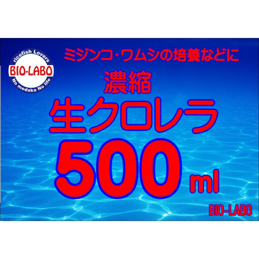 生クロレラ　500ｍｌミジンコ培養　グリーンウォーター　青水 の商品画像