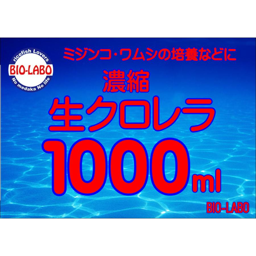 生クロレラ　1000ｍｌミジンコ培養　グリーンウォーター　青水　 | 