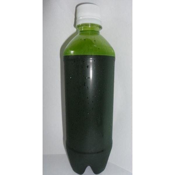 生クロレラ　1000ｍｌミジンコ培養　グリーンウォーター　青水　 |  | 01