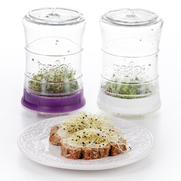 Kefirko ケフィアメーカー 848ml （グリーン） 発酵食品 ミルクケフィア ウォーターケフィア 乳酸菌 酵母 自家製 DIY BPAフリー ケフィルコ スプラウター |  | 07