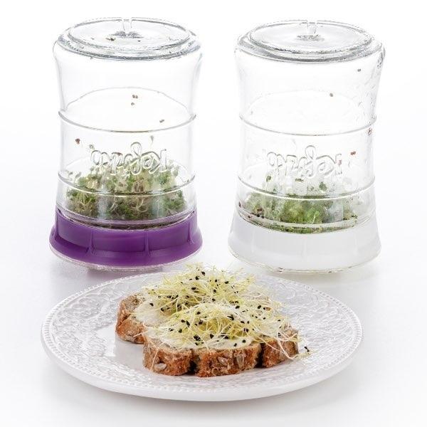 Kefirko ケフィアメーカー 848ml （オレンジ） 発酵食品 ミルクケフィア ウォーターケフィア 乳酸菌 酵母 自家製 DIY BPAフリー ケフィルコ スプラウト |  | 07