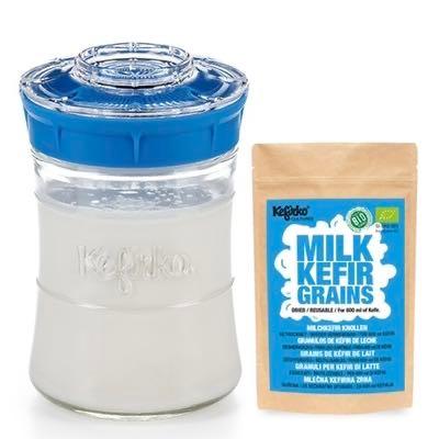 予約 ケフィアグレイン 乾燥 1g Kefirko ・スターターキット セット 848ml ミルクケフィア グレインズ 発酵食品 乳酸菌 酵母 プロバイオティクス 菌活 腸活 種菌 | 