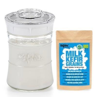 予約 ケフィアグレイン 乾燥 1g Kefirko ・スターターキット セット 848ml ミルクケフィア グレインズ 発酵食品 乳酸菌 酵母 プロバイオティクス 菌活 腸活 種菌 |  | 01