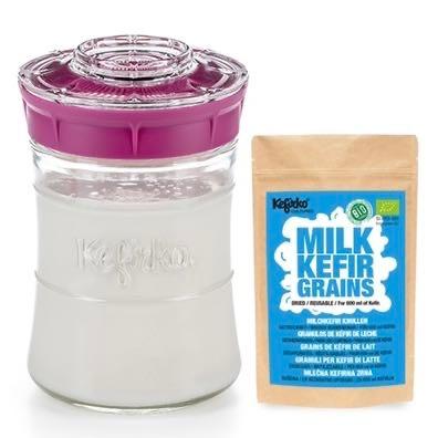 予約 ケフィアグレイン 乾燥 1g Kefirko ・スターターキット セット 848ml ミルクケフィア グレインズ 発酵食品 乳酸菌 酵母 プロバイオティクス 菌活 腸活 種菌 |  | 04