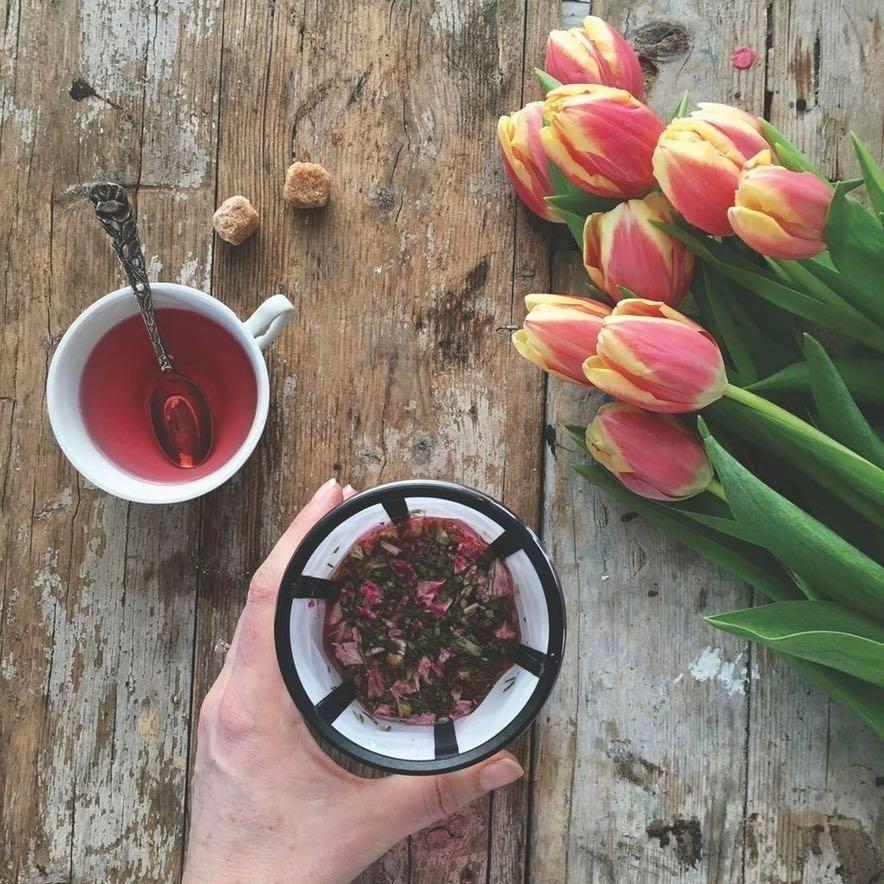 Kefirko チーズメーカー 1400ml （ピンク） マスカルポーネ モッツアレラ 発酵食品 ミルクケフィア  乳酸菌 酵母 自家製 DIY BPAフリー ケフィルコ |  | 16