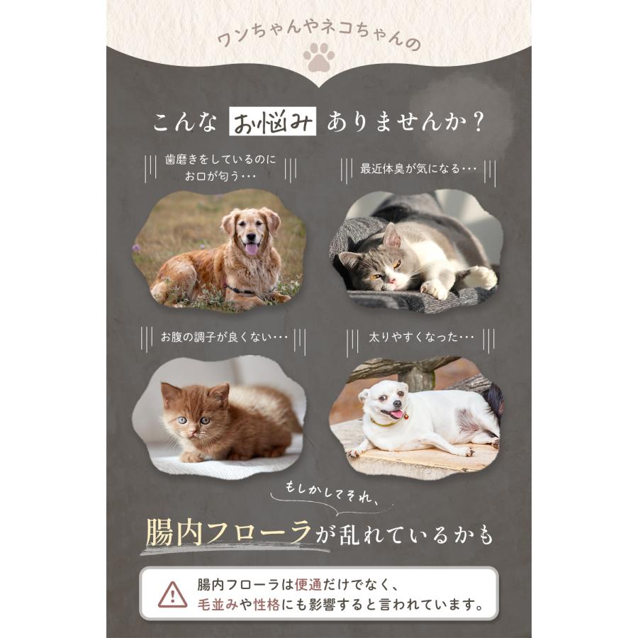 ( 訳あり /パッケージにキズ) 犬猫用 腸活 乳酸菌 無添加 40g BIOLY ペットフード 毛並み 口臭対策 体臭対策 |  | 02