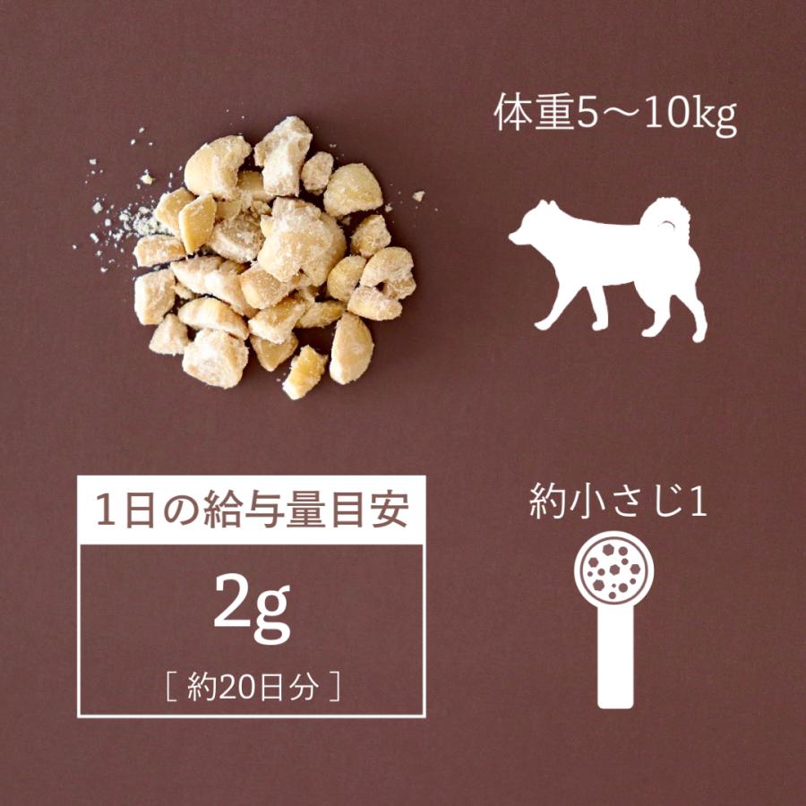 ( 訳あり /パッケージにキズ) 犬猫用 腸活 乳酸菌 無添加 40g BIOLY ペットフード 毛並み 口臭対策 体臭対策 |  | 08