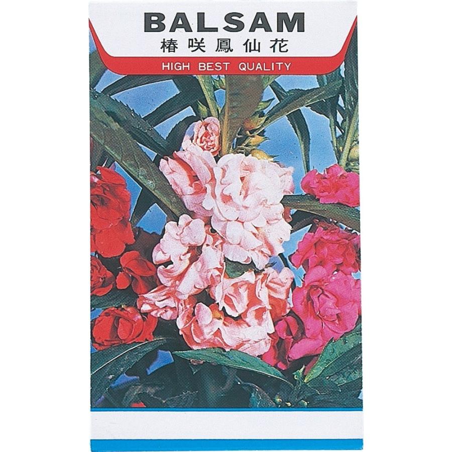 ホウセンカ 種 花 ガーデニング の商品一覧 通販 Yahoo ショッピング