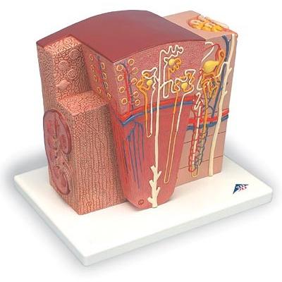 ビオスチーム 500g×3袋【未開封】 【公式通販】