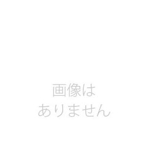 先端チップ 32.0φ用-20mL SS-PTS3200