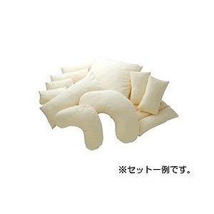 アルファプラ ウェルピー (レギュラータイプ) ブーメラン 小 (PC-WR-B2) タイカ U0296