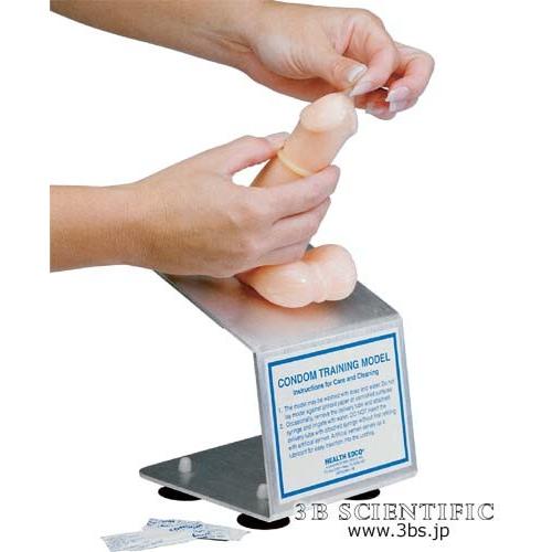無料健康相談対象製品 世界基準 3bサイエンフィティック社 模型 コンドーム装着トレーニング デラックスセット 鍼灸 模型 W Shop De Clinic 通販 Yahoo ショッピング