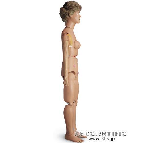 無料健康相談対象製品 世界基準 3Bサイエンフィティック社 模型 看護・BLSシミュレーター 鍼灸 模型