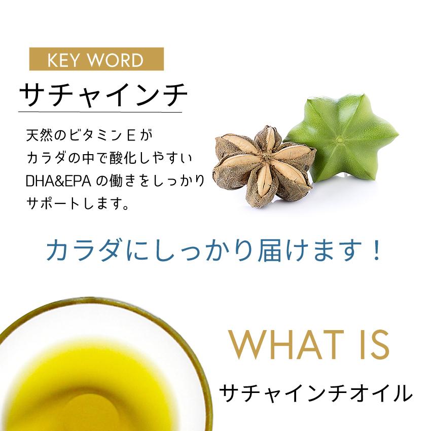 《6袋まとめ買い15%OFF》DHA\u0026EPA+サチャインチ 60粒×6袋| DHA EPA サプリ サチャインチ サプリメント サチャインチオイル 記憶力 子供の画像