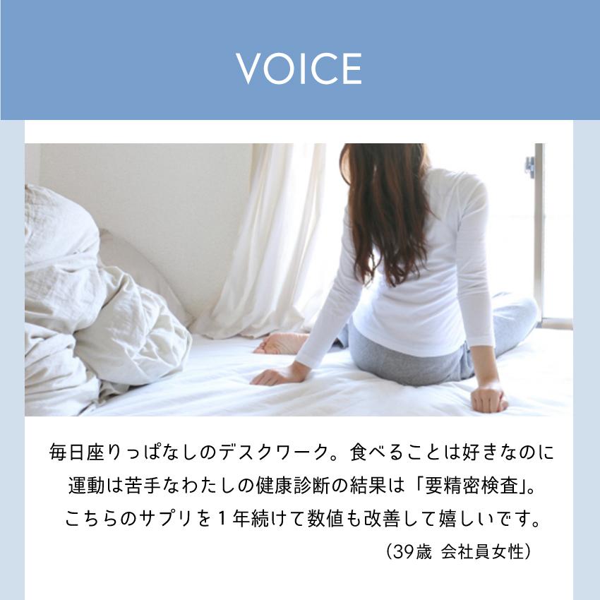 《6袋まとめ買い15%OFF》DHA\u0026EPA+サチャインチ 60粒×6袋| DHA EPA サプリ サチャインチ サプリメント サチャインチオイル 記憶力 子供の画像