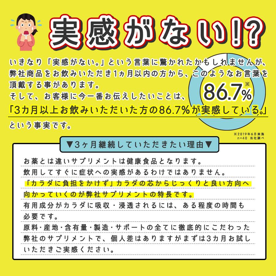 《6袋まとめ買い15%OFF》DHA\u0026EPA+サチャインチ 60粒×6袋| DHA EPA サプリ サチャインチ サプリメント サチャインチオイル 記憶力 子供の画像