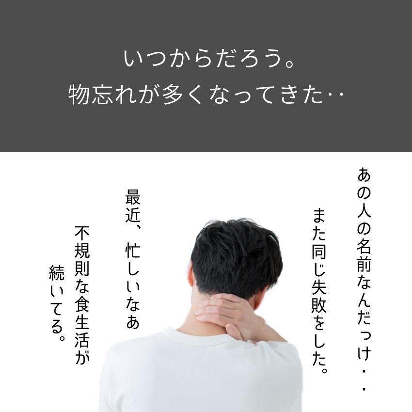 《6袋まとめ買い15%OFF》DHA\u0026EPA+サチャインチ 60粒×6袋| DHA EPA サプリ サチャインチ サプリメント サチャインチオイル 記憶力 子供の画像