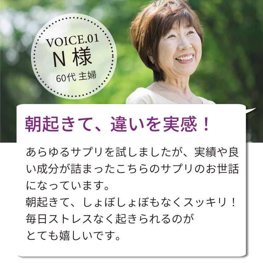 ビルベリースカット 180粒 ハーフサイズ2袋 約1か月分 アントシアニン ルテイン サプリメント ビルベリー アスタキサンチン リコピン マリーゴールド カシス E001 バイオサプリ Yahoo店 通販 Yahoo ショッピング