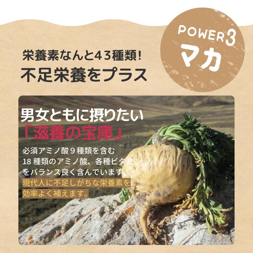 オルニチン マカ 亜鉛 しじみ | ギュッとしじみ 90粒 サプリメント しじみ約622個分  ランキング1位 タウリン アミノ酸 ビタミン 牡蠣エキス ぎゅっとしじみ｜biosupli｜13