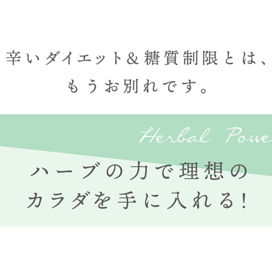 《6箱まとめ買い15%OFF 送料無料》ハーブスカット 180粒×6箱| 桑の葉 サプリメント オリーブ葉 サプリ ヤーコン葉 健康食品 ダイエット 錠剤｜biosupli｜04