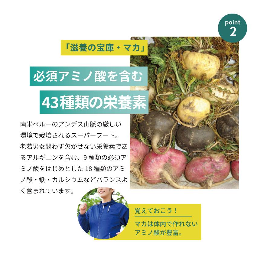 キャッツクロニン・ナノカルタブレット・マッスルメート キャッツクロニン・ナノカルタブレット・マッスルメート 楽天市場