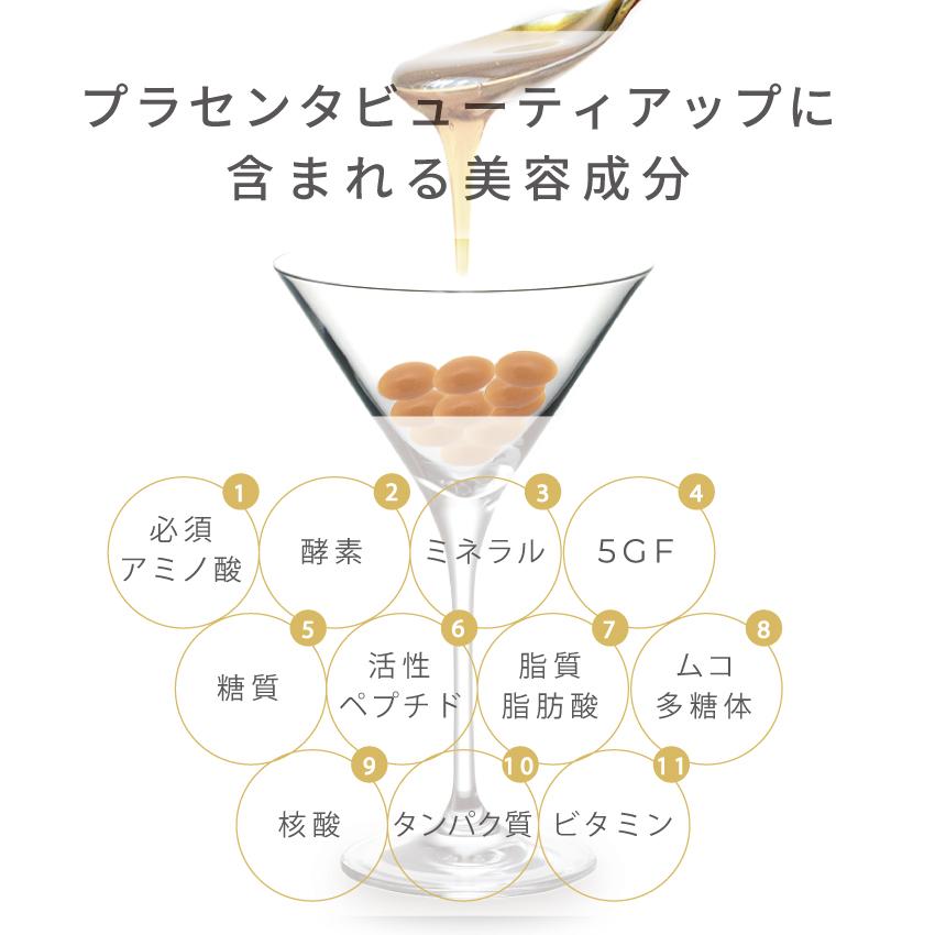 《半額》さらにQUOカード500円プレゼント！プラセンタ 美容 サプリ 女性 美容サプリメント | プラセンタビューティアップ 90粒×6袋【賞味期限：2026年9月】_8