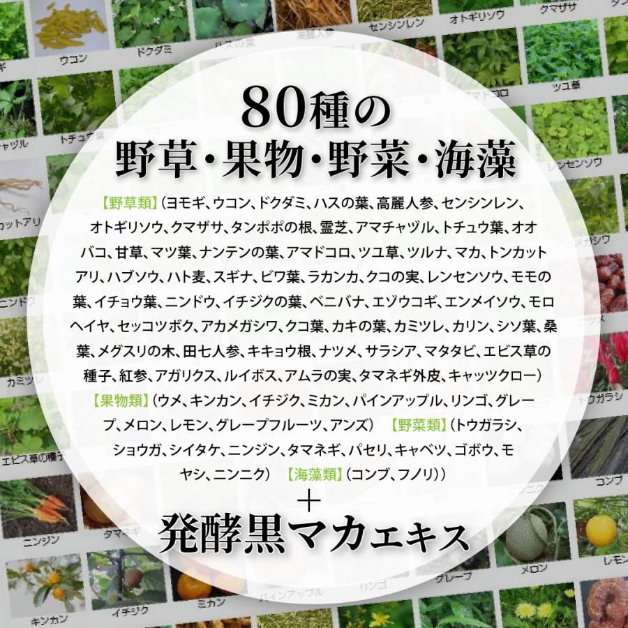 乳酸菌3兆個配合 酵素ドリンク スッキリ 爽快な毎日 管理栄養士監修 無添加 ダイエット ファスティング Premium BIO【賞味期限2027.01.31】 | バイオサプリ | 12