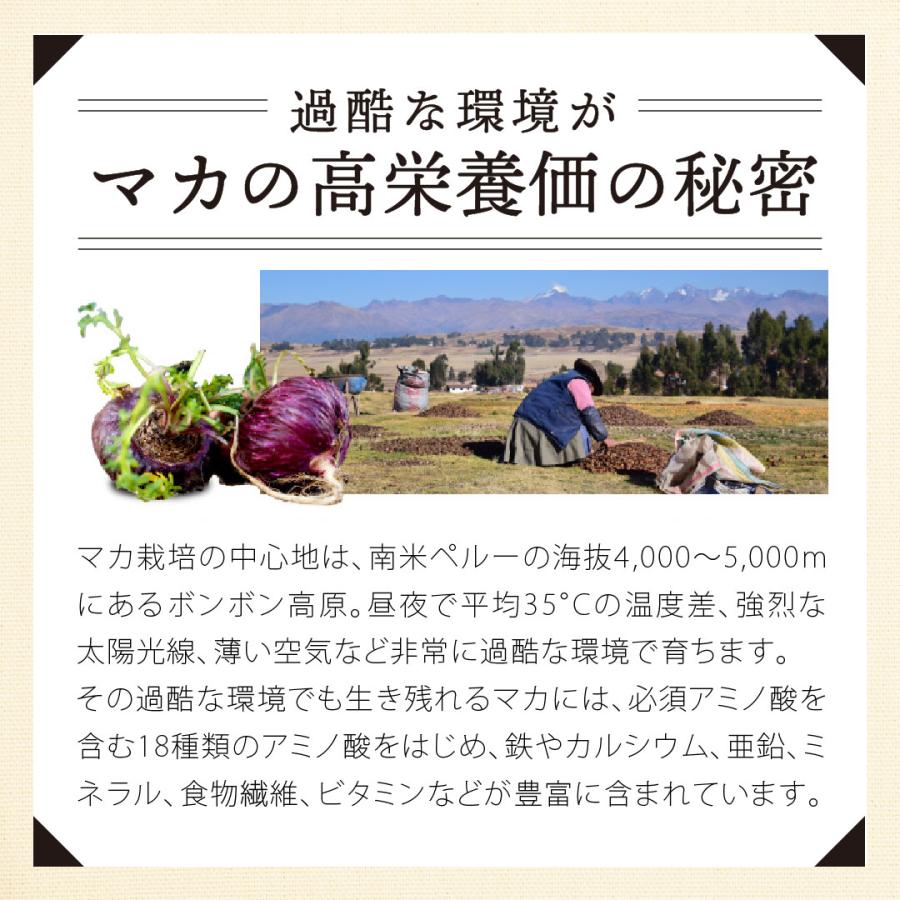 バイオサプリ 酵素ドリンク スッキリ 爽快な毎日へ 無添加 ダイエット