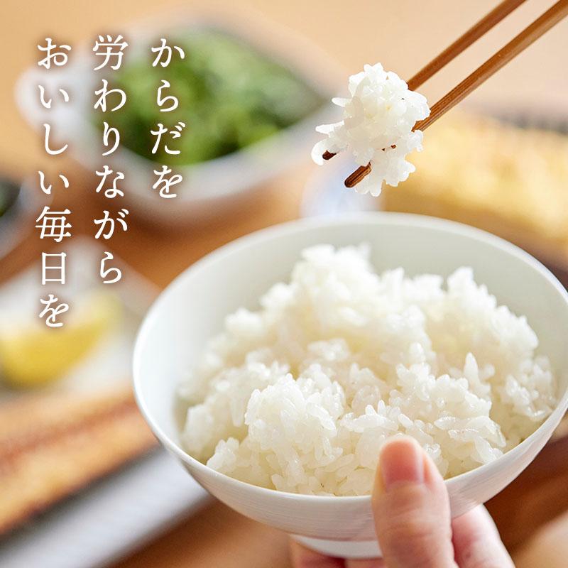 1/25越後ごはん大盛(200g×30個) 低タンパク たんぱく質調整食品 ごはん
