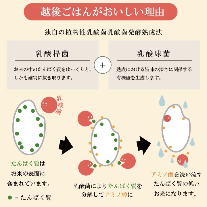 低たんぱく　1/25越後米粒使いきりパック (130g×20袋)　低たんぱく　炊飯　米　ごはん　バイオテックジャパン　低タンパク　腎臓　腎臓病　CKD｜biotechjapan｜03