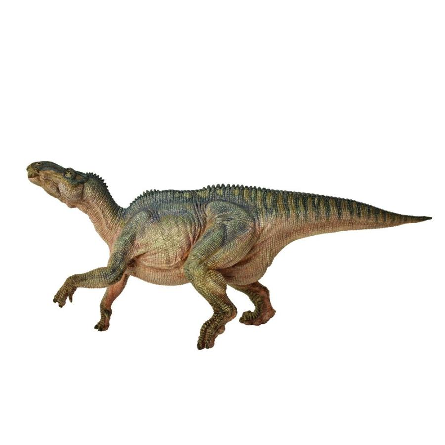 Papo パポ Dinosaurs イグアノドン 人形 恐竜フィギュア 送料無料 Biotope 通販 Yahoo ショッピング