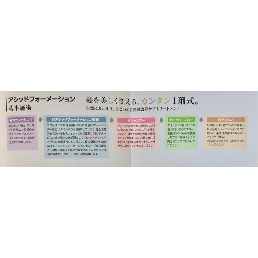 酸熱トリートメント 軽いクセ毛・はね毛・パサつき・うねる・広がる髪に発揮 2剤要らず 施術時間短縮・傷み軽減 アシッドフォーメーション400g ２個｜bipro1｜14