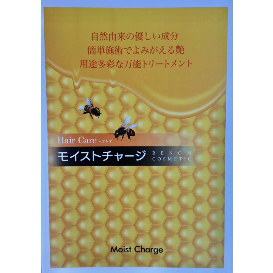 酸熱トリートメント アシッドフォーメーション400g １個＋前処理・後処理モイストチャージ 1000ml １個 計２個セット＋モイストチャージ専用ポンプ付き｜bipro1｜07