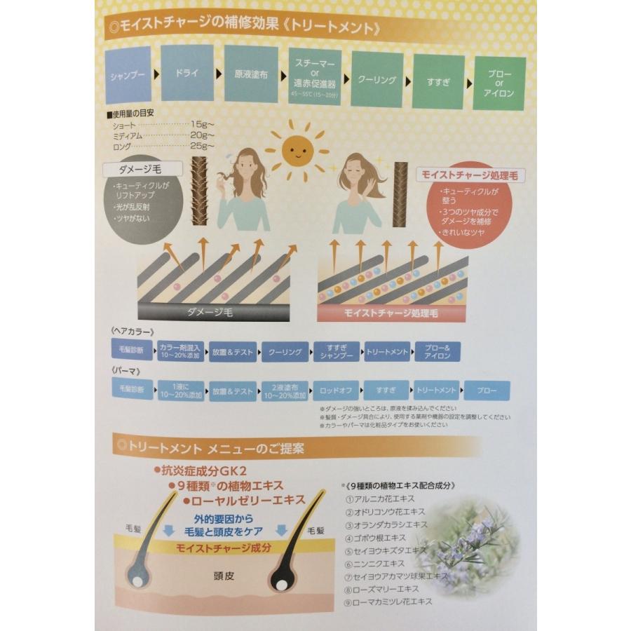 前処理 後処理 トリートメント 剤 ルノン モイストチャージ 1000ml 2個セット 業務用 正規品 詰め替え用｜bipro1｜07