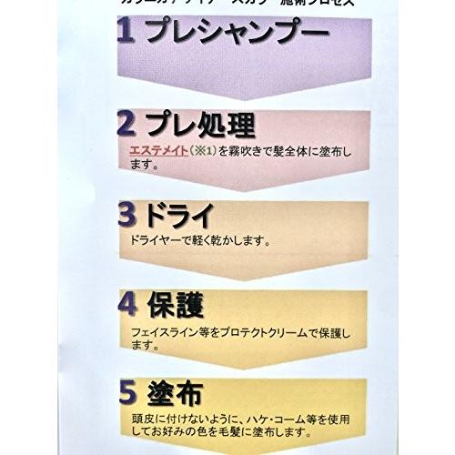 RENOM COSMETIC（ルノンコスメティック） 酸性カラー マニュキュア