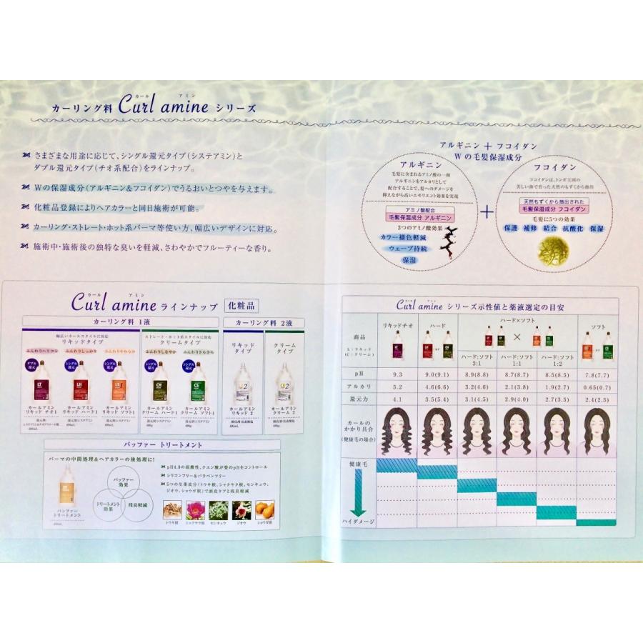 パーマ 化粧品タイプ コスメ系 カールアミン LTチオ配合 1液・2液