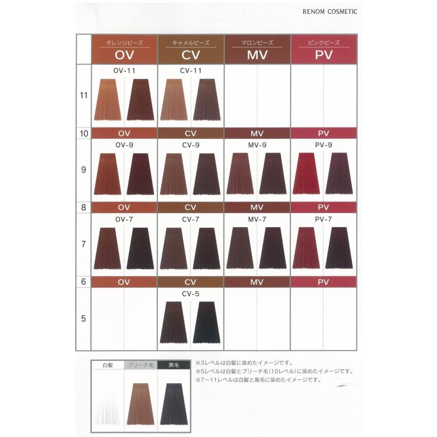 RENOM COSMETIC（ルノンコスメティック） 白髪染め に最適 23本